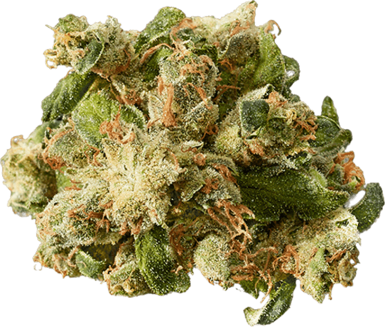 East Coast Sour Diesel